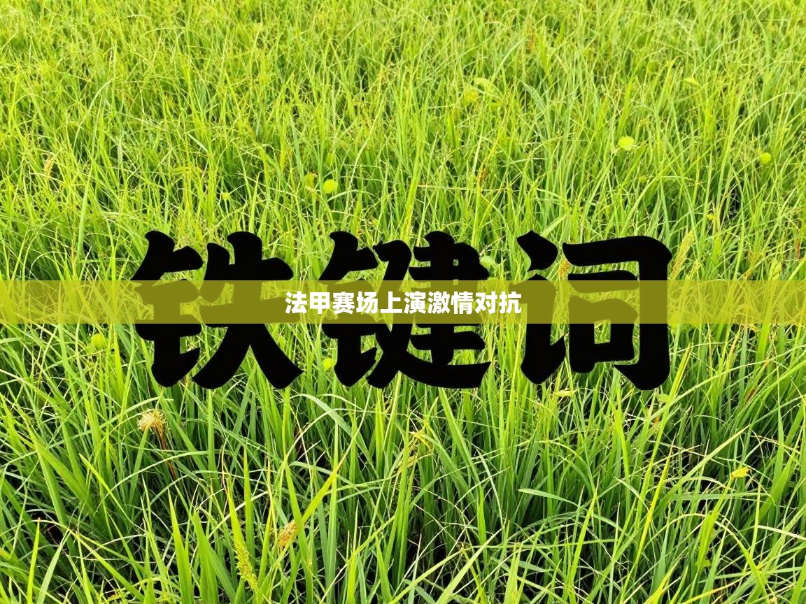 法甲赛场上演激情对抗 第2张