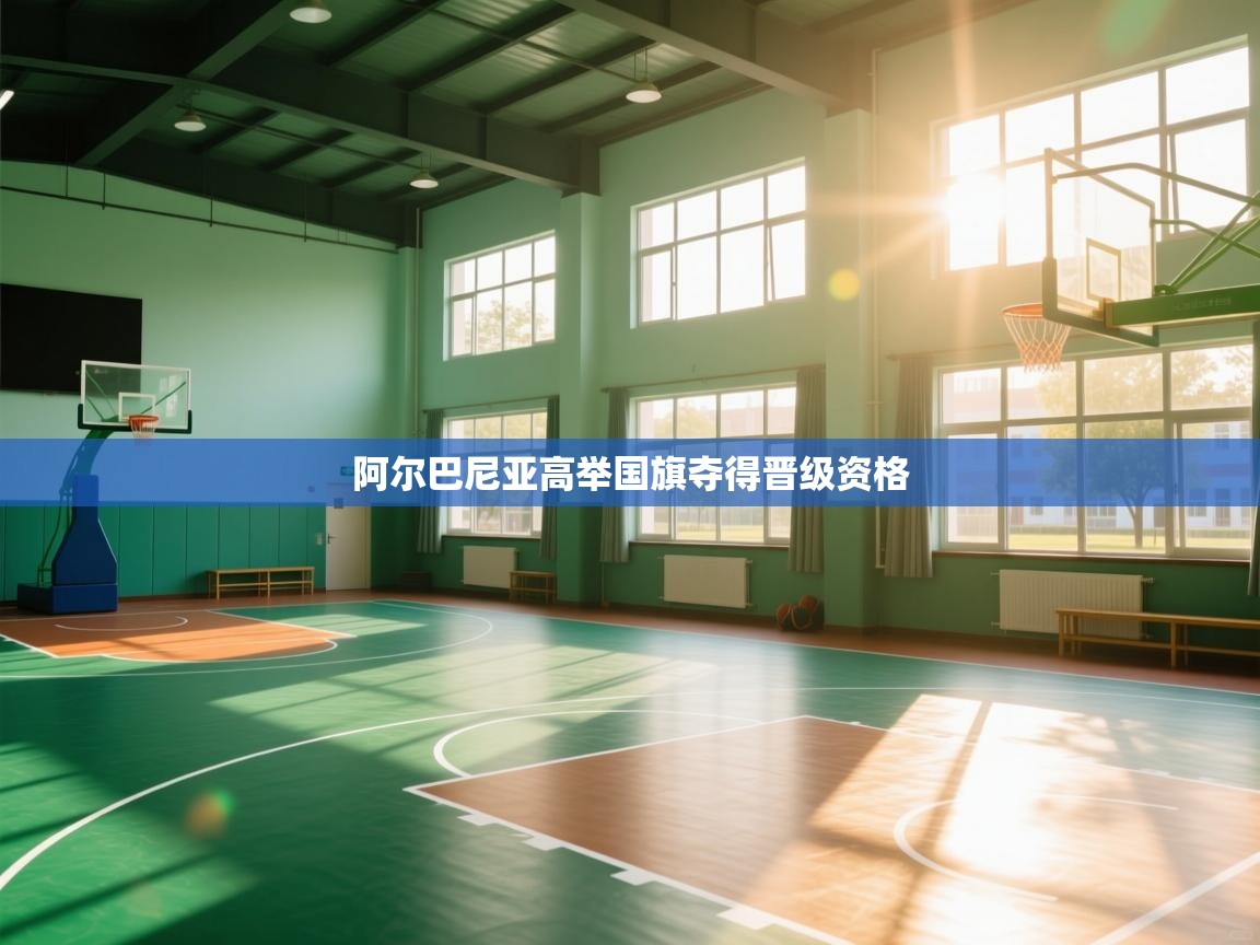 阿尔巴尼亚高举国旗夺得晋级资格 第1张