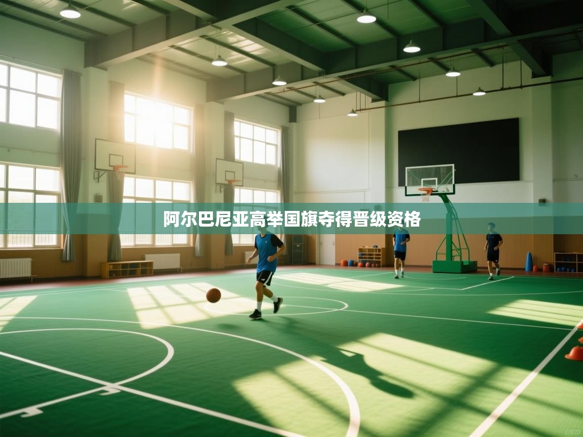 阿尔巴尼亚高举国旗夺得晋级资格 第2张