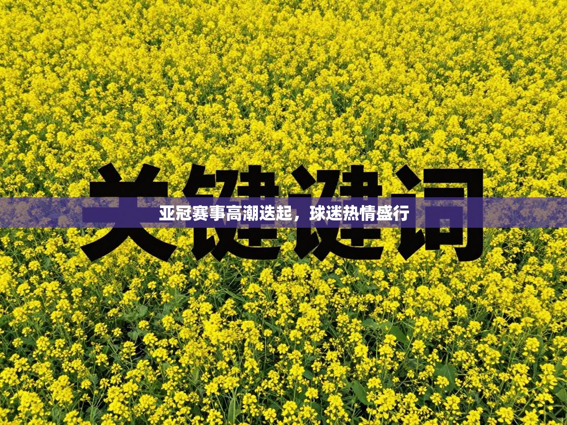 亚冠赛事高潮迭起，球迷热情盛行  第2张